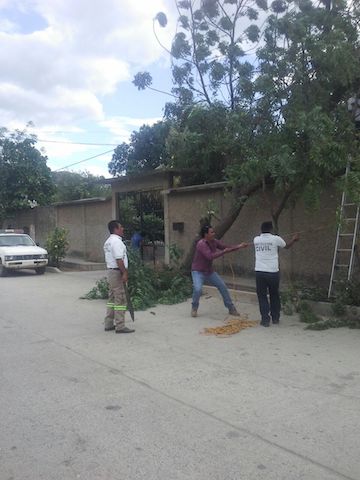Implementa CEPCO operativo por lluvias y vientos fuertes en Oaxaca