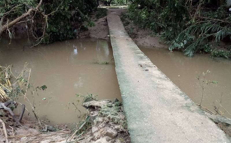 Suman unas 3 mil viviendas afectadas por desborde de ríos y arroyos en la Cuenca del Papaloapan