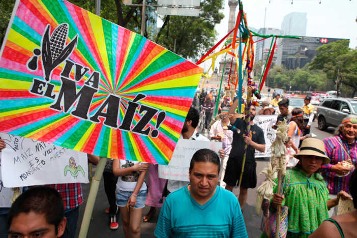 Monsanto atentó contra la bioseguridad del país: abogado