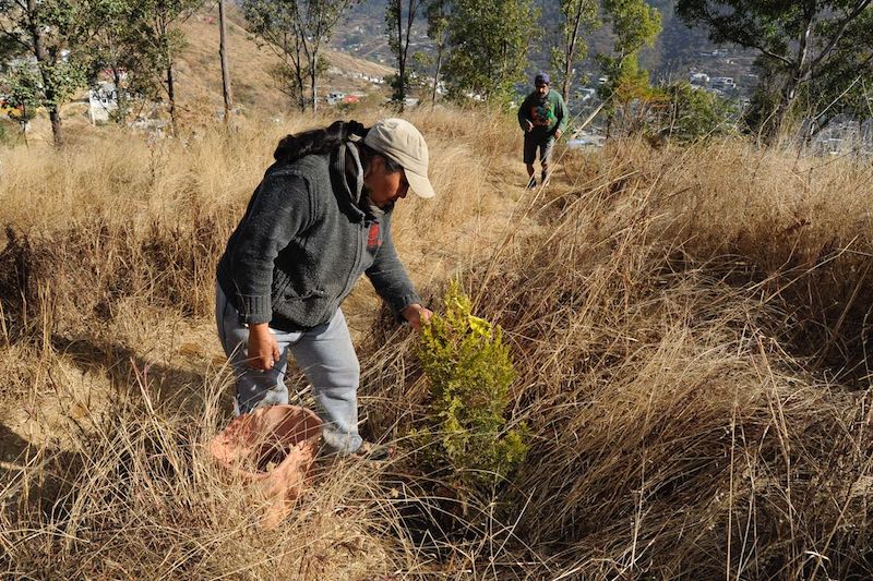 Participa Gobierno Municipal en la “Primera Jornada de Mantenimiento de Reforestación”