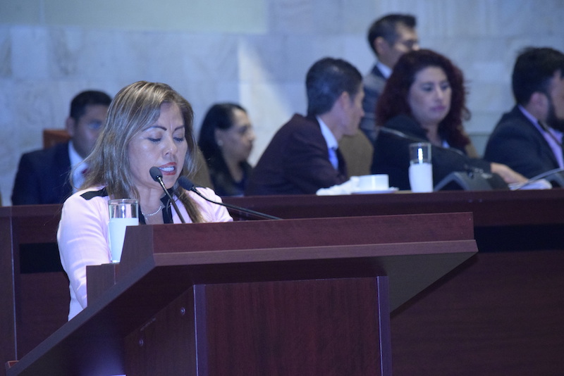 Urgen a la CONAVIM activar Alerta de Violencia de Género en Oaxaca