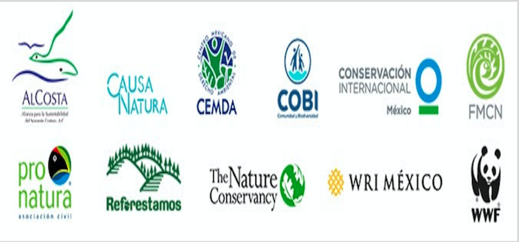 Llaman a candidatos a la Presidencia a comprometerse con un #PresenteSostenible