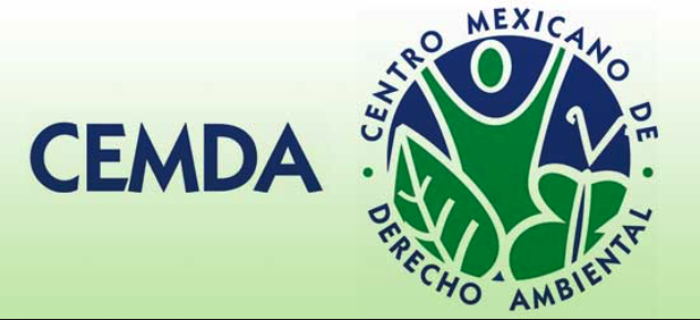 Condena CEMDA agresión en contra de su colaboradora y defensora de derechos humanos, Ximena Ramos