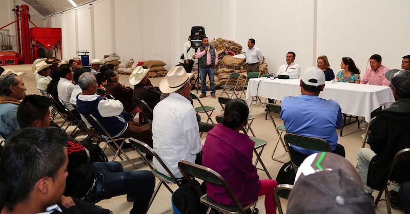 Cafeticultores de Oaxaca piden ser representados por Susana Harp en el Senado