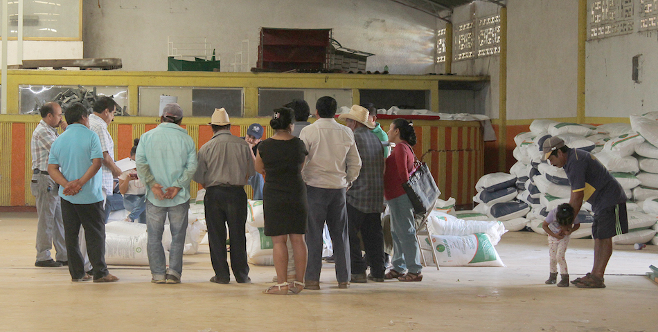 Impulsa ayuntamiento de Zaachila a productores de temporal con entrega de abono industrial