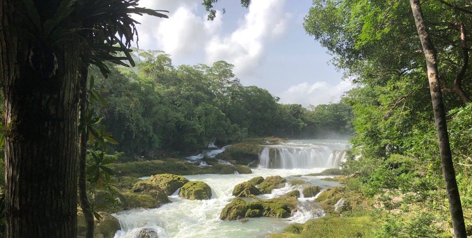 Niegan a empresa privada permiso para la construcción de mini hidroeléctrica en la Selva Lacandona