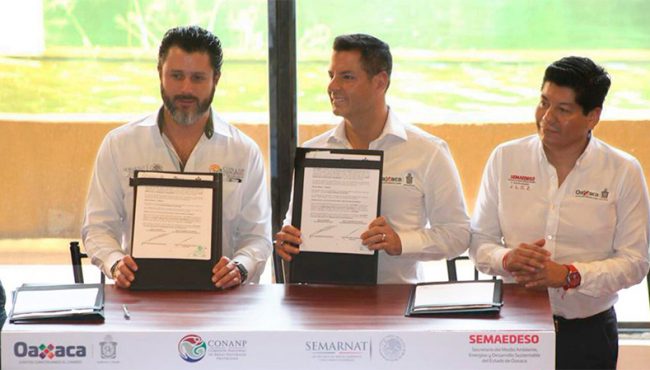 Murat, Calvo y Del Mazo, firman acuerdo para fortalecer CMT de Mazunte y SNAP