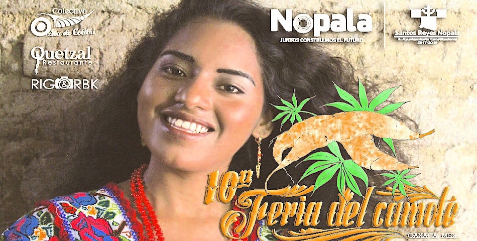 TodoSantos en Reyes Nopala, una antigua tradición que perdura