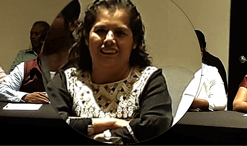 El #PRI no pondrá de cabeza al Congreso;#Morena se impondrá: @diplauraestrada