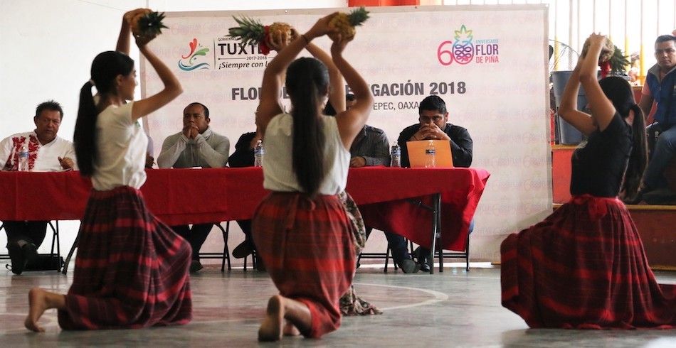 “Flor de Piña mantiene elitismo y se resisten a hacerla inclusiva con mujeres mayores”: experta