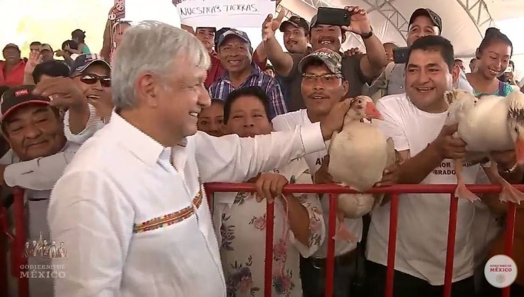 Le regalan dos gansos a AMLO durante su gira por Campeche
