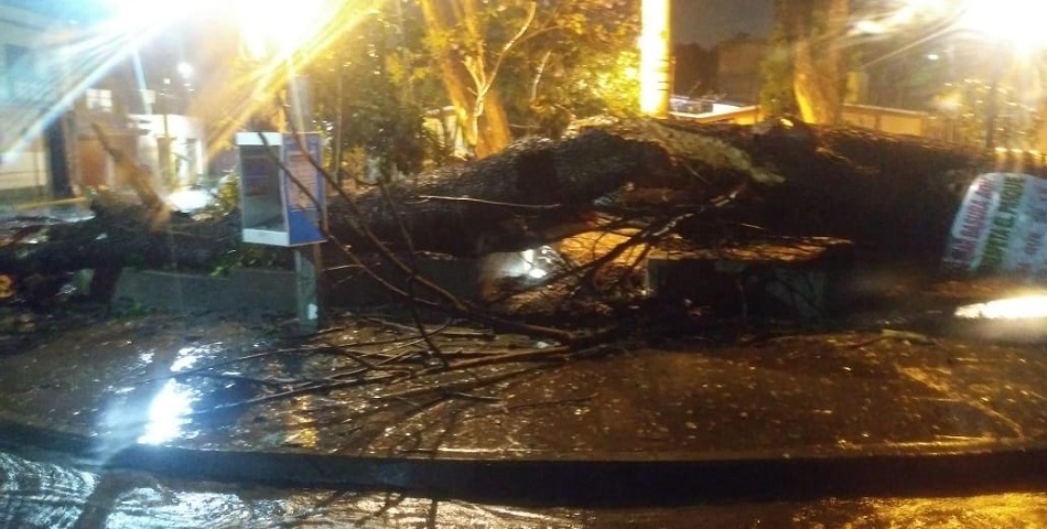 #EnImagenes daños por lluvias en #Oaxaca