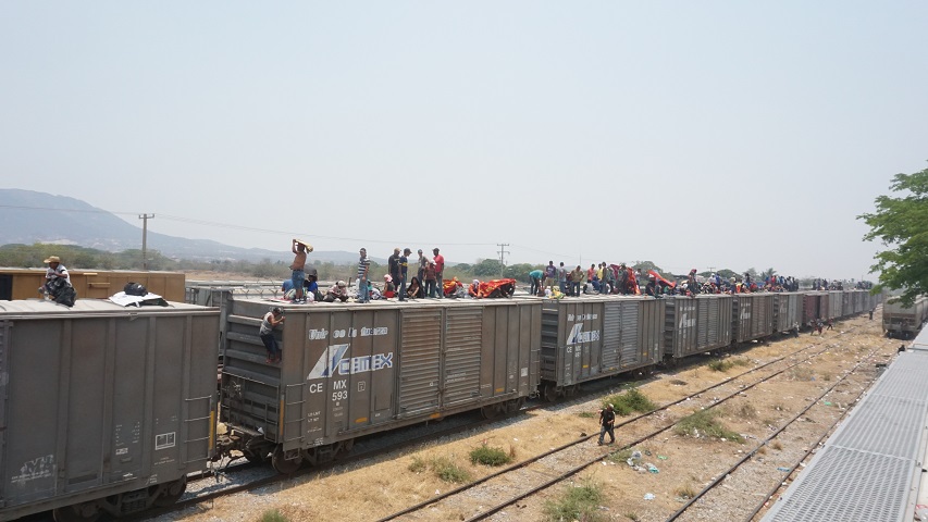 Unos mil migrantes avanzan su camino por tren a Veracruz