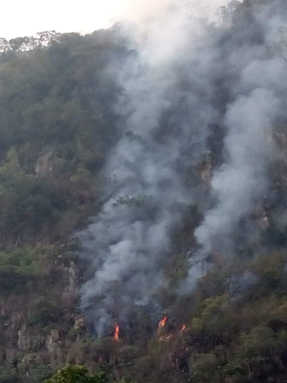Incendio en San Bartolomé Ayautla, helicóptero de apoyo llega y se va pagina 3
