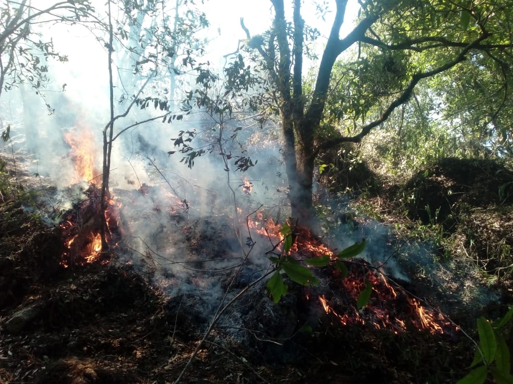 Reinicia Conafor combate de incendio en Chimalapa con apoyo de helicóptero MI17