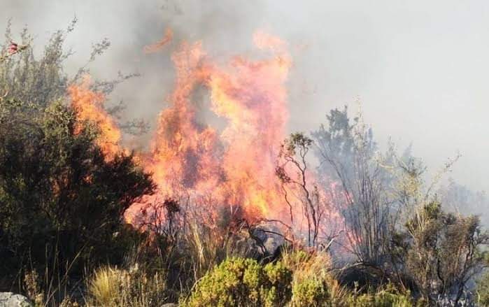 San Bartolomé Ayautla solicita apoyo por incendio; llega helicóptero para supuesta ayuda y se va