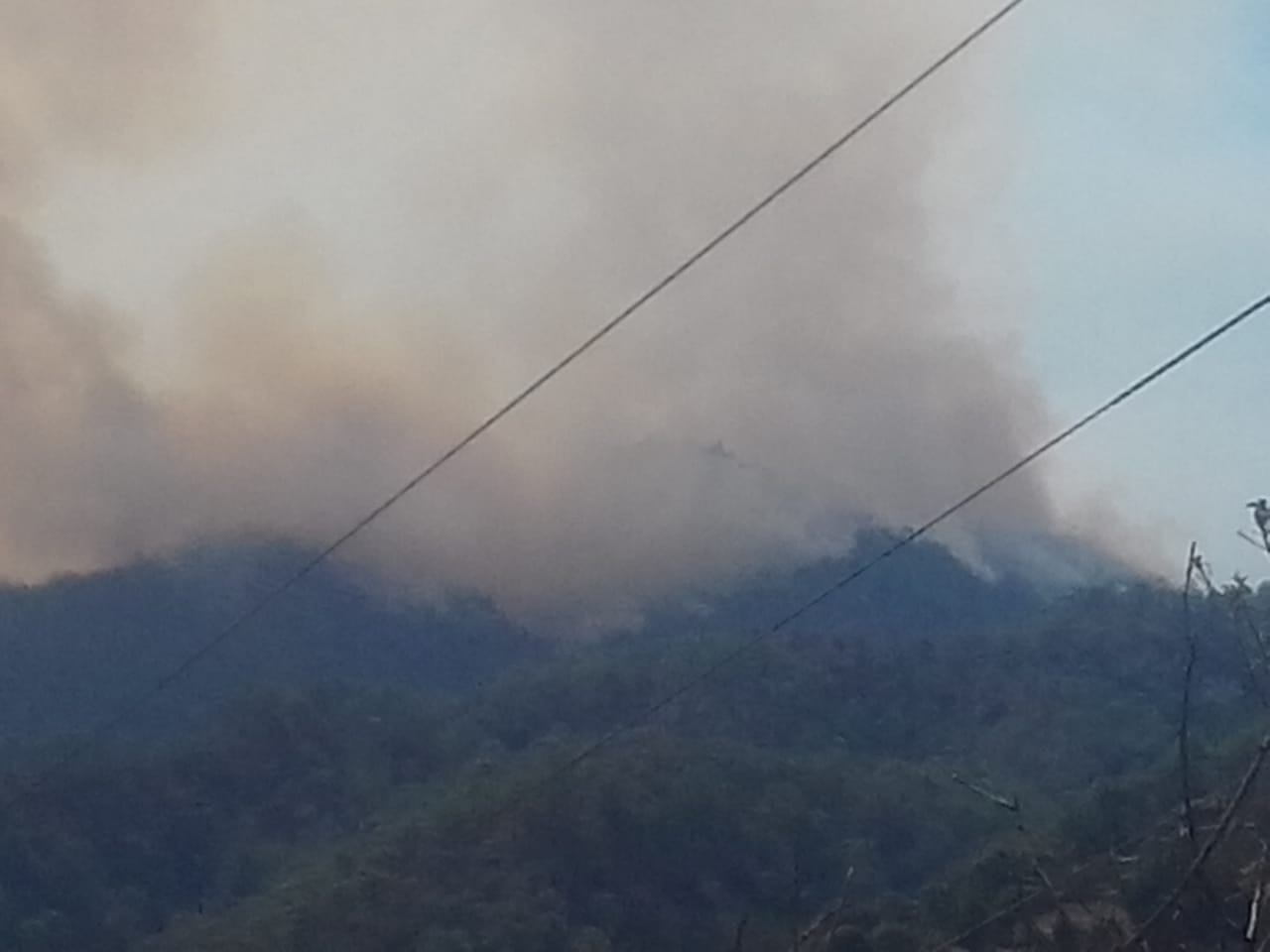 Incendios devastan 17 mil 500 hectáreas en la selva de Chimalapas; Ong denuncia desatención gubernamental