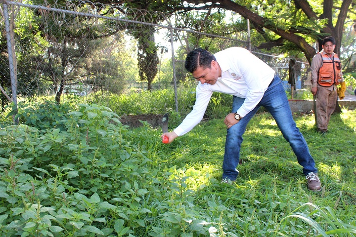 Gobierno Municipal y vecinos hacen tequio en San Juan Chapultepec