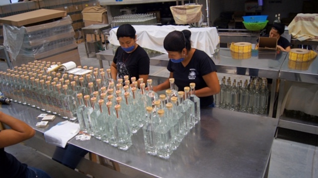 Estados Unidos, principal comprador de mezcal pagina 3