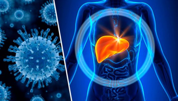 Por brote de Hepatitis «A» suspenden clases en 16 planteles educativos