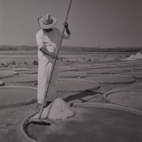 La historia de las salinas de Pinotepa Nacional a través de las imágenes de Anita Jones en el Centro Cultural San Pablo