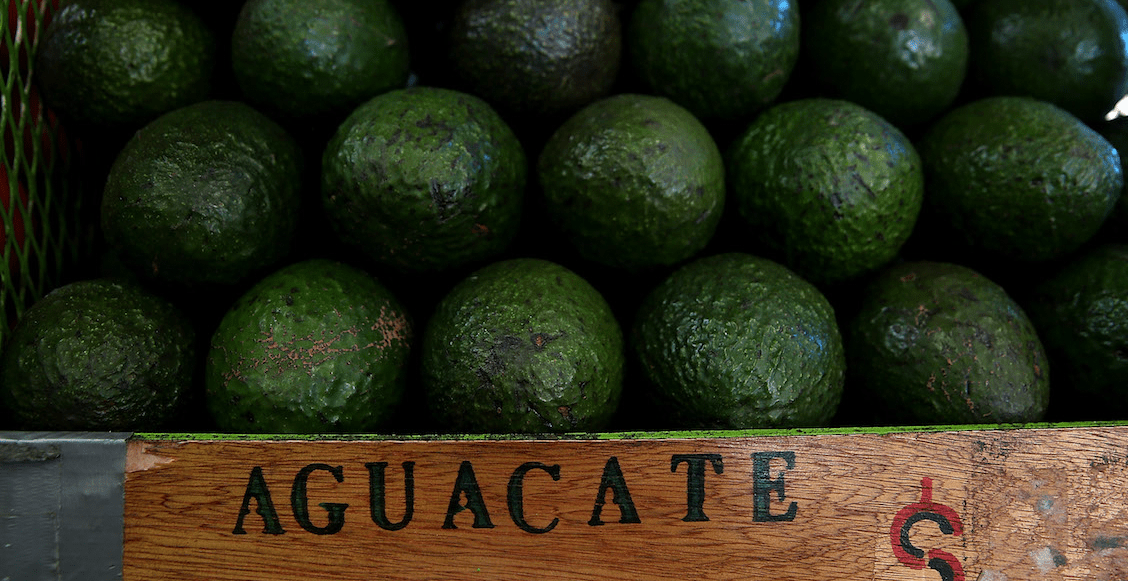 A casi 100 pesos el kilo de aguacate en Oaxaca