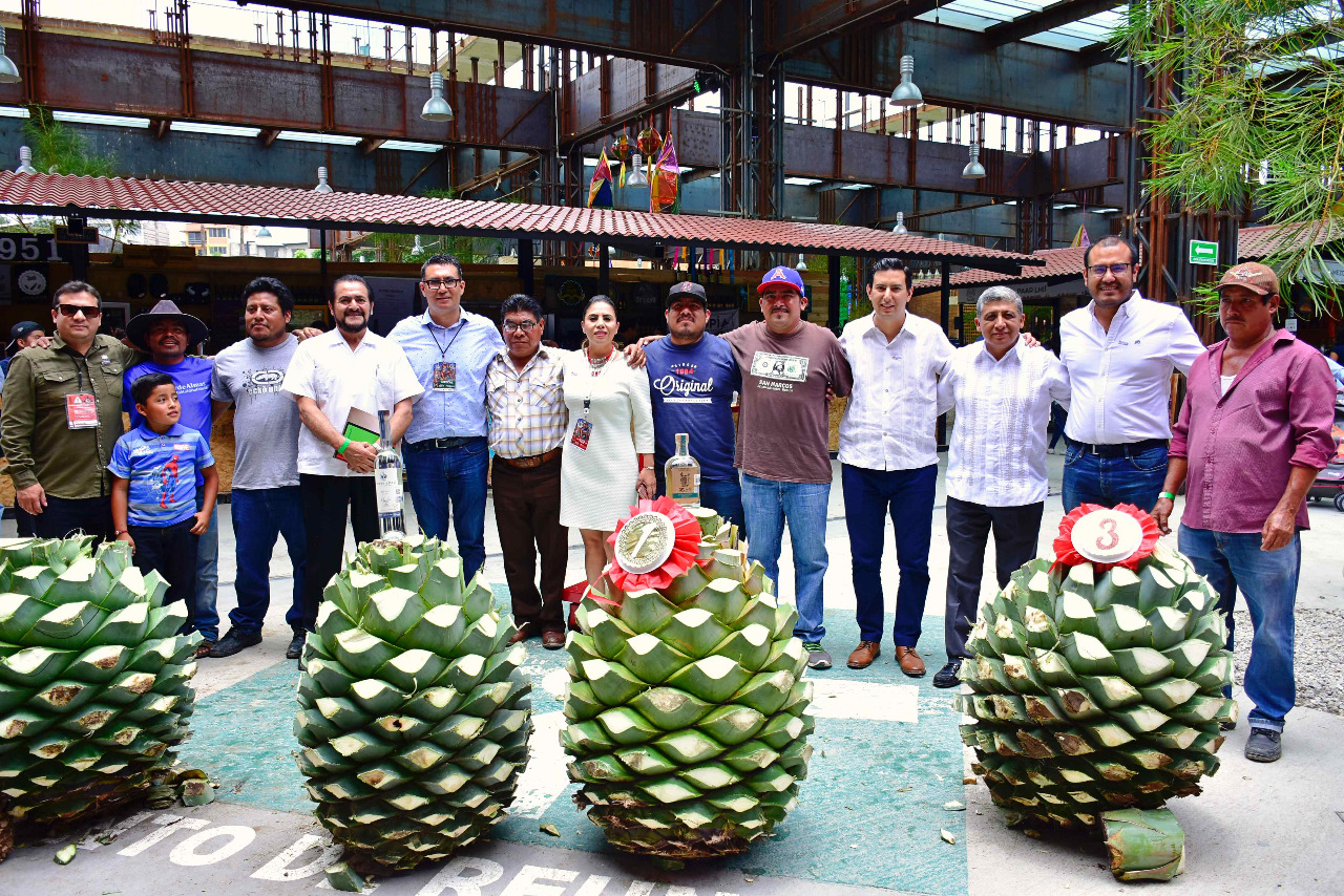 En la Feria del Mezcal, premian a ganadores de  “La piña de maguey más pesada”