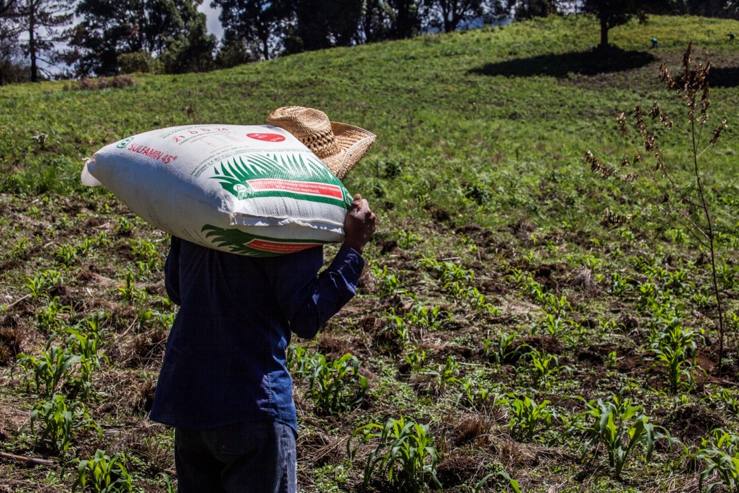 Tropieza la 4ta transformación en Guerrero con el fertilizante pagina 3