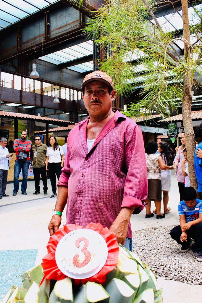 la piña de Maguey más pesada tercer lugar pagina 3