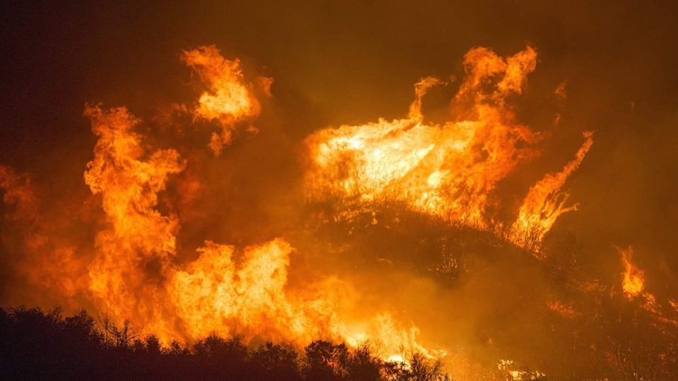 Si el Amazonas desaparece, 1 millón de especies también y el cambio climático se agravará dramáticamente