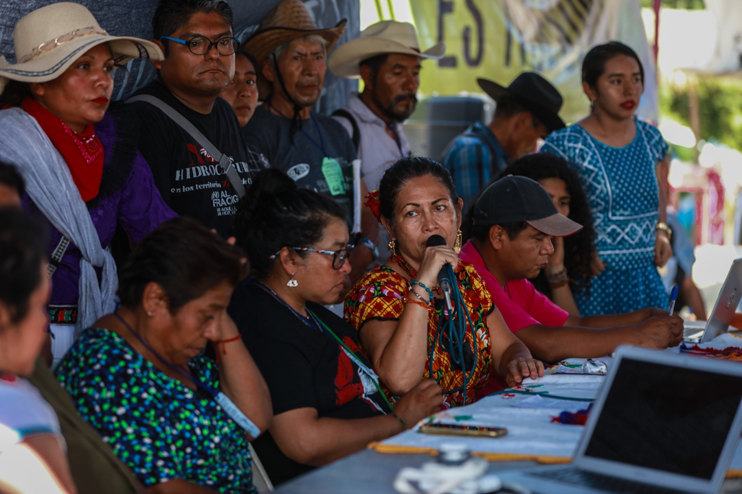 Bettina, concejala del CIG-CNI modera la plenaria de la Asamblea Nacional pagina 3