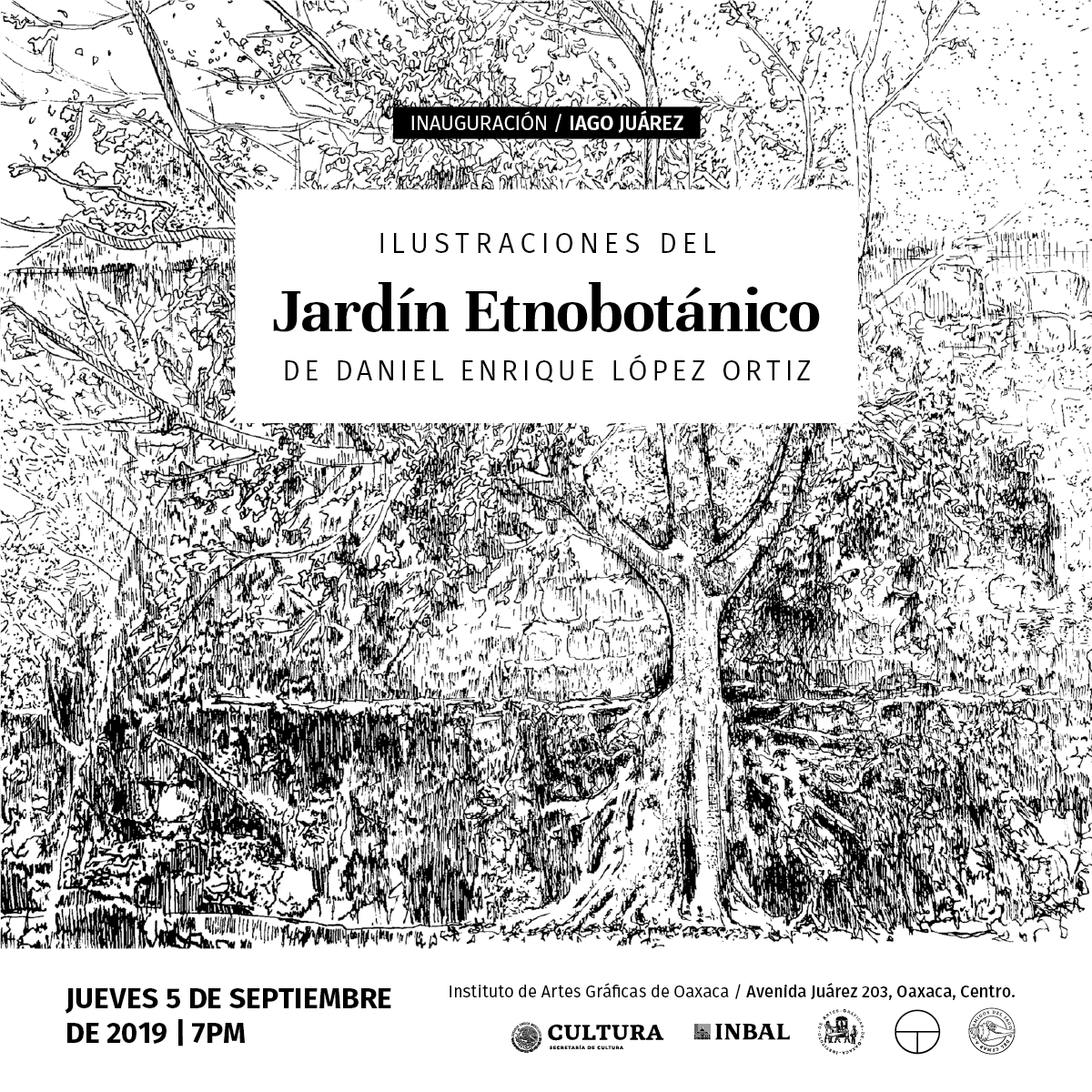 El Instituto de Artes Gráficas de Oaxaca albergará Ilustraciones del Jardín Etnobotánico, con obra inédita de Daniel López Ortiz