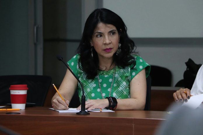 Morena detiene exhorto para quitar a Ana Vásquez Colmenares de la SMO