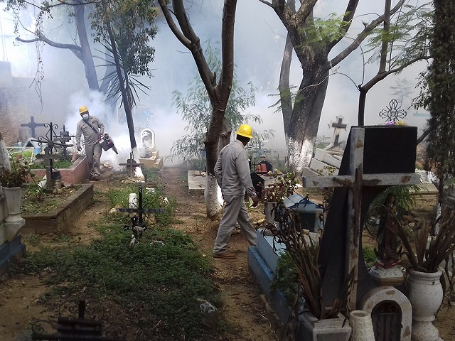 Confirma SSO segunda muerte por dengue, urge participación ciudadana para eliminar criaderos