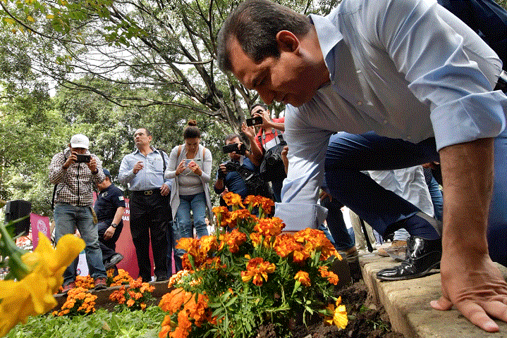 Embellece Ayuntamiento con flor de cempasúchil jardineras del Zócalo