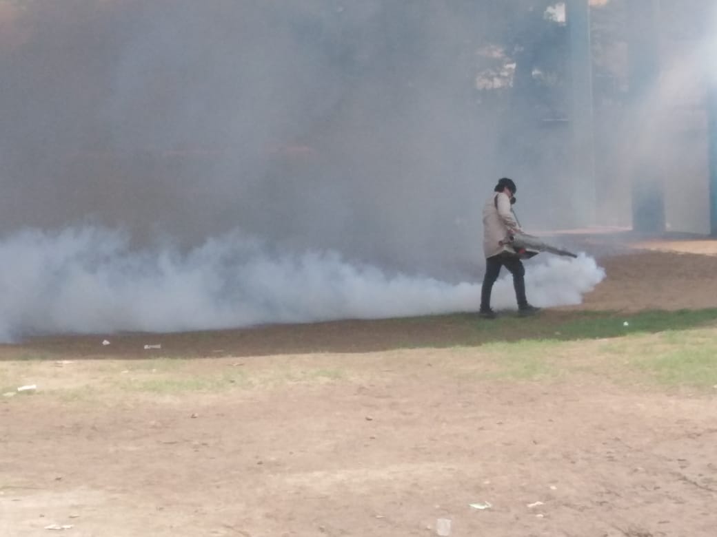 Mil 374 casos  y 4 defunciones por dengue en Oaxaca