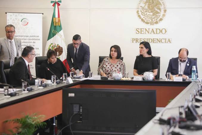 Orozco, Rosario Piedra y Peimbert; generan controversia finalistas a presidir la CNDH