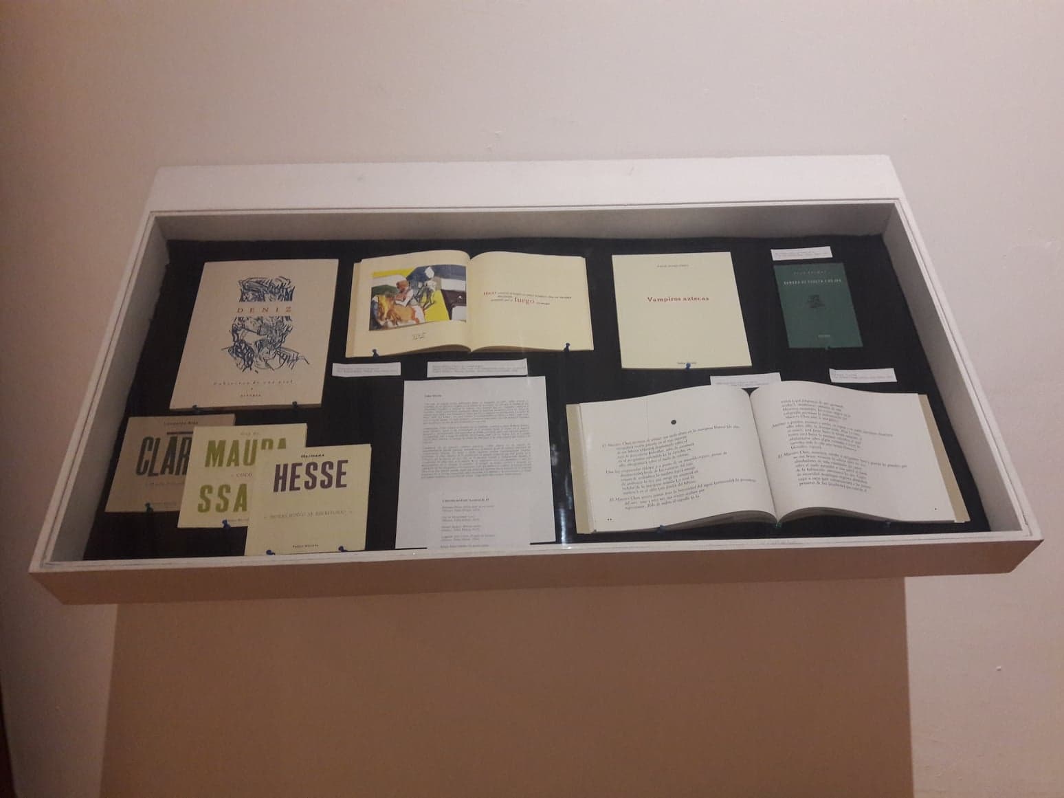 Roberto Rébora presenta en el MACO "Flujo Mundo", 25 años de trabajo pagina 3