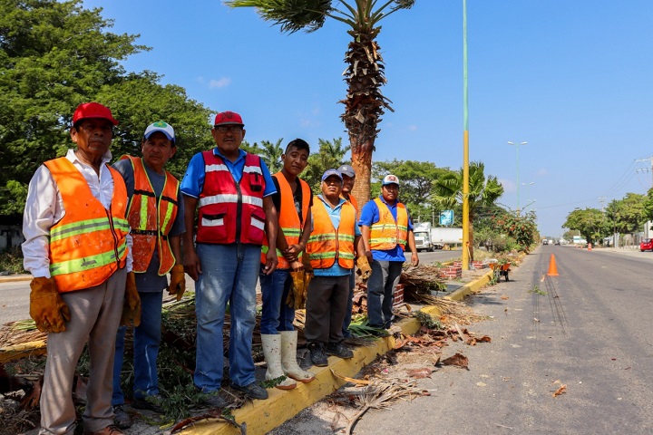 Revitaliza Gobierno de Juchitán camellones del crucero y de carretera a El Espinal