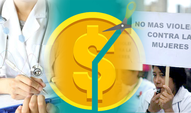Presupuesto del 2020 en retroceso para el ejercicio de los derechos de salud en las mujeres