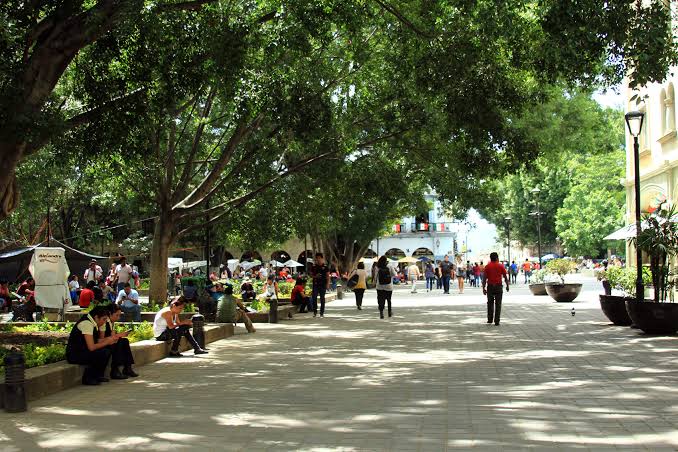 Oaxaca es de las entidades con más municipios en rezago social y económico: Citibanamex