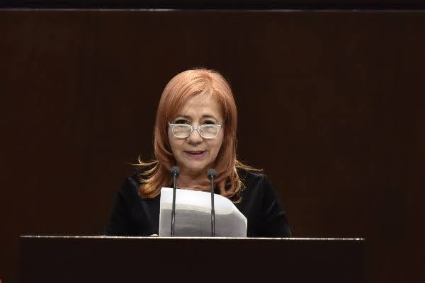 Presentan queja en la CNDH contra la nueva titular de la CNDH; no sabía que con AMLO también matan periodistas
