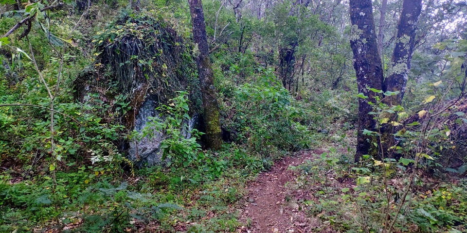 Convocan al trail de La Cieneguilla, en San Miguel Etla