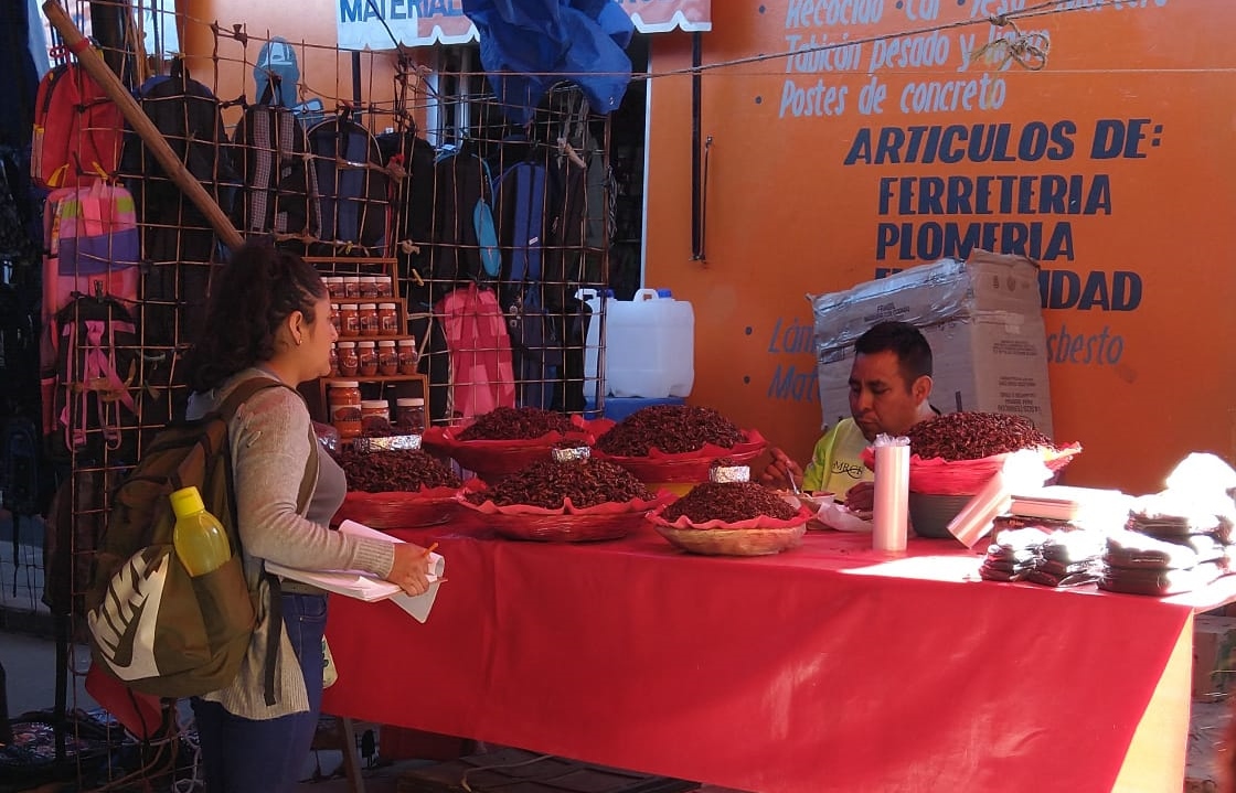 Producto alimentario típico y un símbolo de identidad oaxaqueña, insectos comestibles son tema de investigación