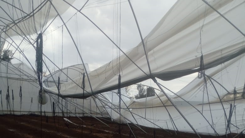 Activa CEPCO y autoridades municipales protocolos por daños generados por lluvia y viento