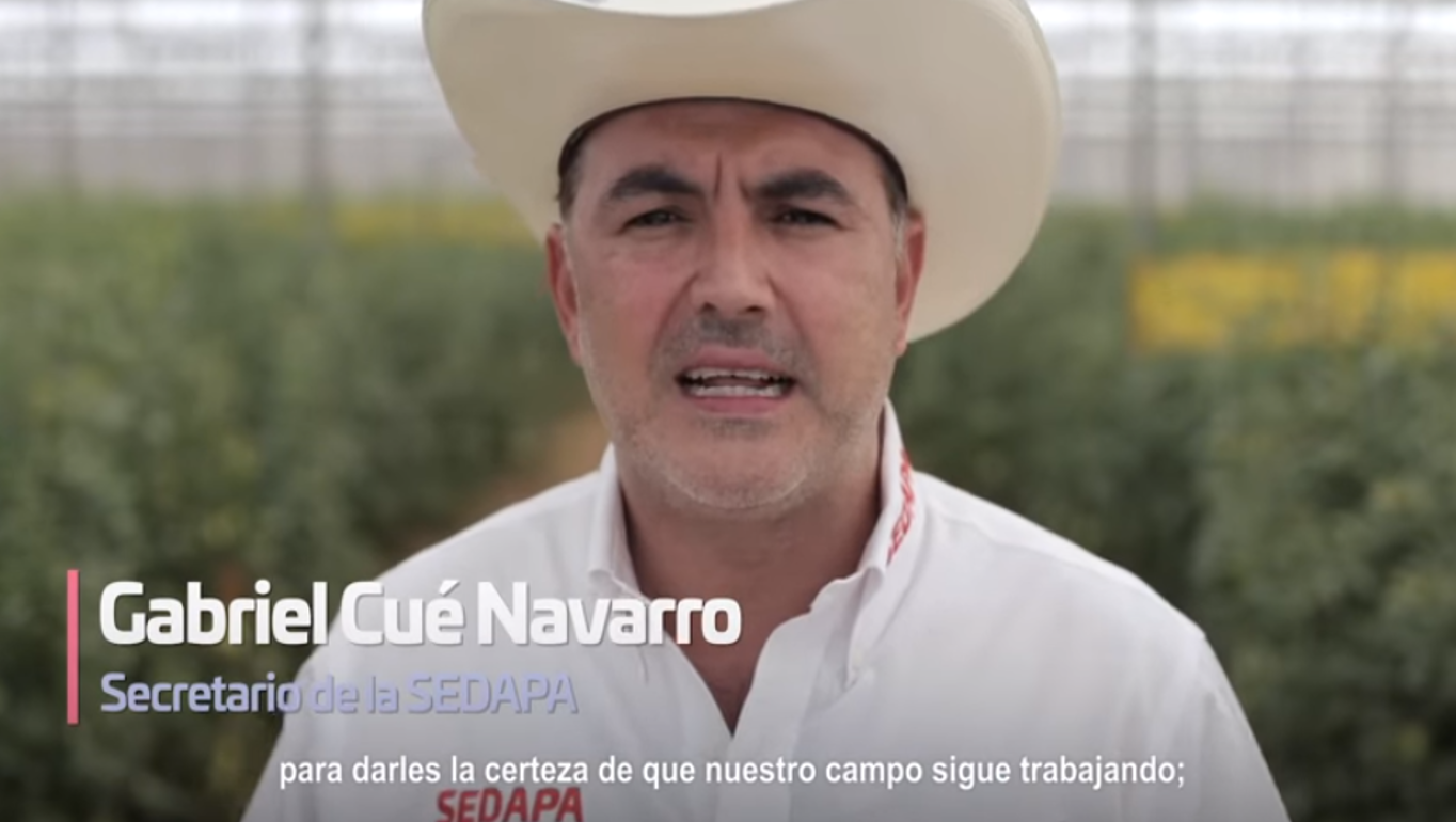 Gabriel Cué anuncia créditos para el campo, dice garantizar seguridad alimentaria en epidemia