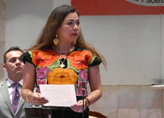 Condonación del 50% en energía eléctrica para uso doméstico por pandemia, propone legisladora