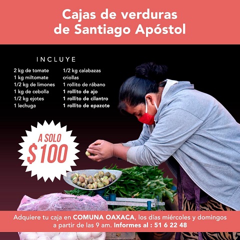 Producción orgánica de Santiago Apóstol a la venta en la capital oaxaqueña