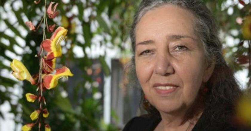 Intentan en algunas legislaciones desaparecer el término “mujer o mujeres”