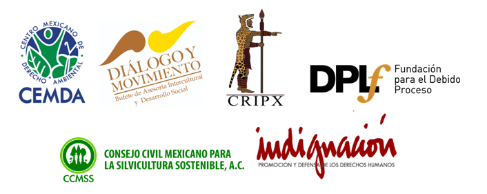 La defensa de los derechos humanos y de la naturaleza fortalece la democracia y no debe criminalizarse